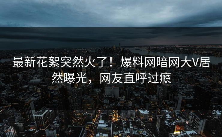 最新花絮突然火了！爆料网暗网大V居然曝光，网友直呼过瘾