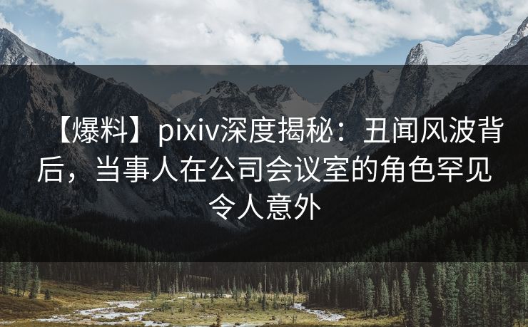 【爆料】pixiv深度揭秘：丑闻风波背后，当事人在公司会议室的角色罕见令人意外