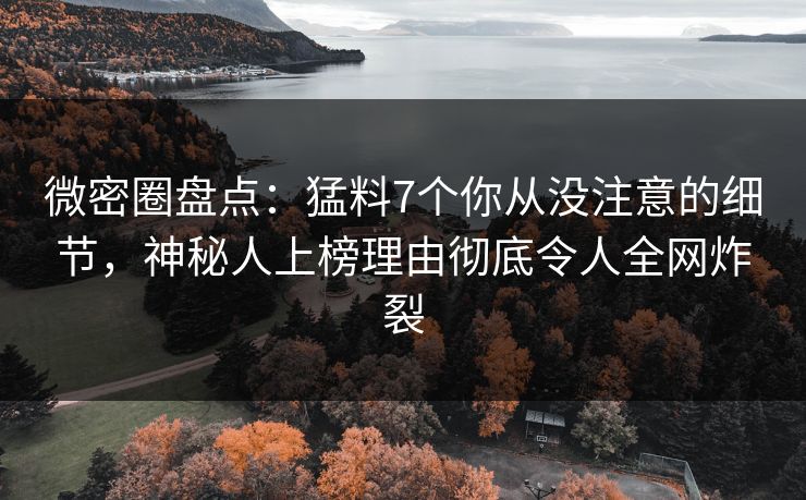 微密圈盘点：猛料7个你从没注意的细节，神秘人上榜理由彻底令人全网炸裂